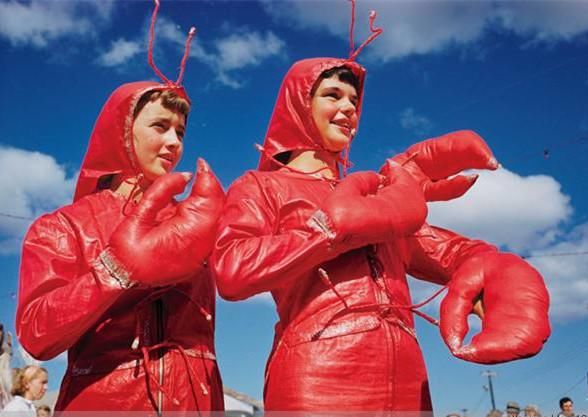 襄阳说|小龙虾是发物吗?吃龙虾前必看的的6个