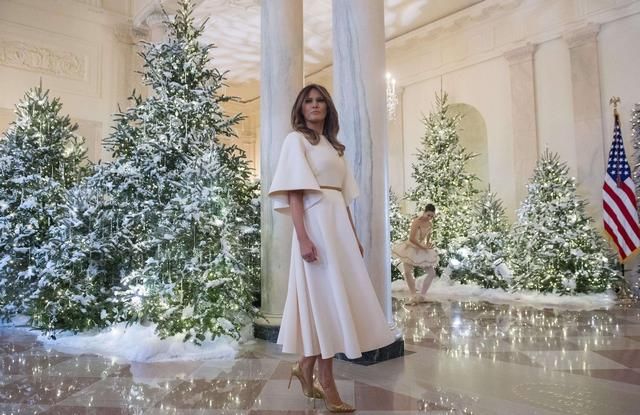 美国到底有什么好? 美国第一夫人通过爱因斯