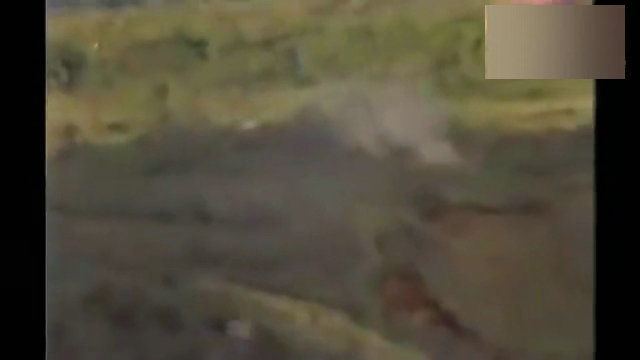 图为日媒拍摄下的画面