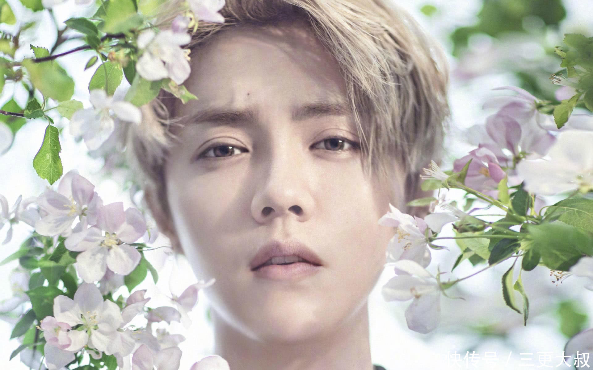 90后的潮流标志!鹿晗吴亦凡,张艺兴黄子韬