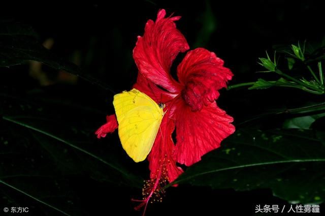 婚姻:男人和女人谁出轨更加不可饶恕?