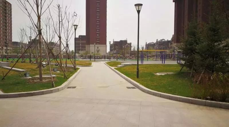 吉大尚德开放日啥样?今年招生人数曝光!