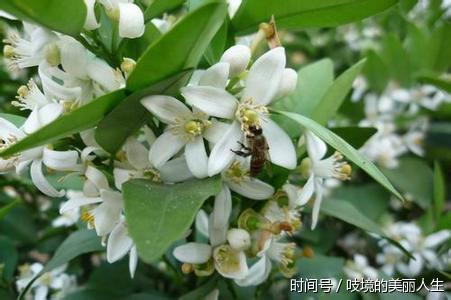 脸上发红发烫发红斑,你只是过敏还是敏感肌?一