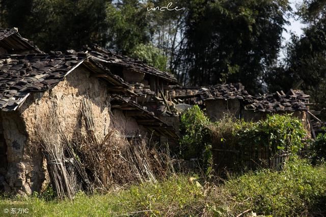 土地确权最后一年,在外多年回家确权,老房子塌