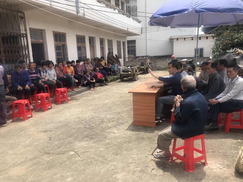 南江口镇:党群合力,加快推进,乡村振兴工作成效