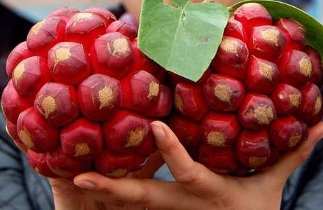 明年农村创业种植养殖好项目,冷门项目无需经验