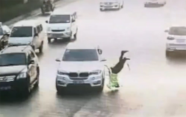 陕西渭南回应 陕西渭南回应