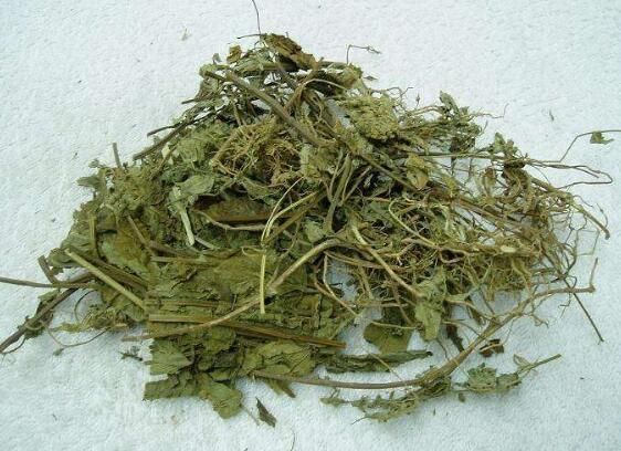 血见愁是农村常见的一种中草药,最大的功效是止血和活血