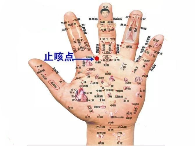 我们手脚上的止咳点,5分钟见效!但没有几个人