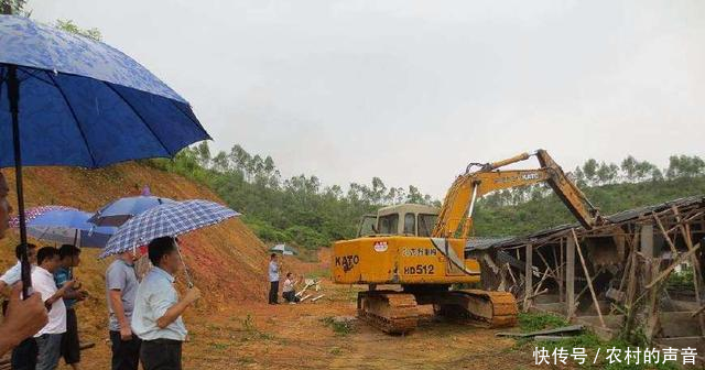 农村禁养政策出台,养殖场将拆除,终于不再臭