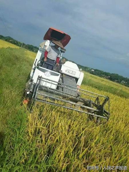 湖南衡阳县:党员是带领群众致富的领路人