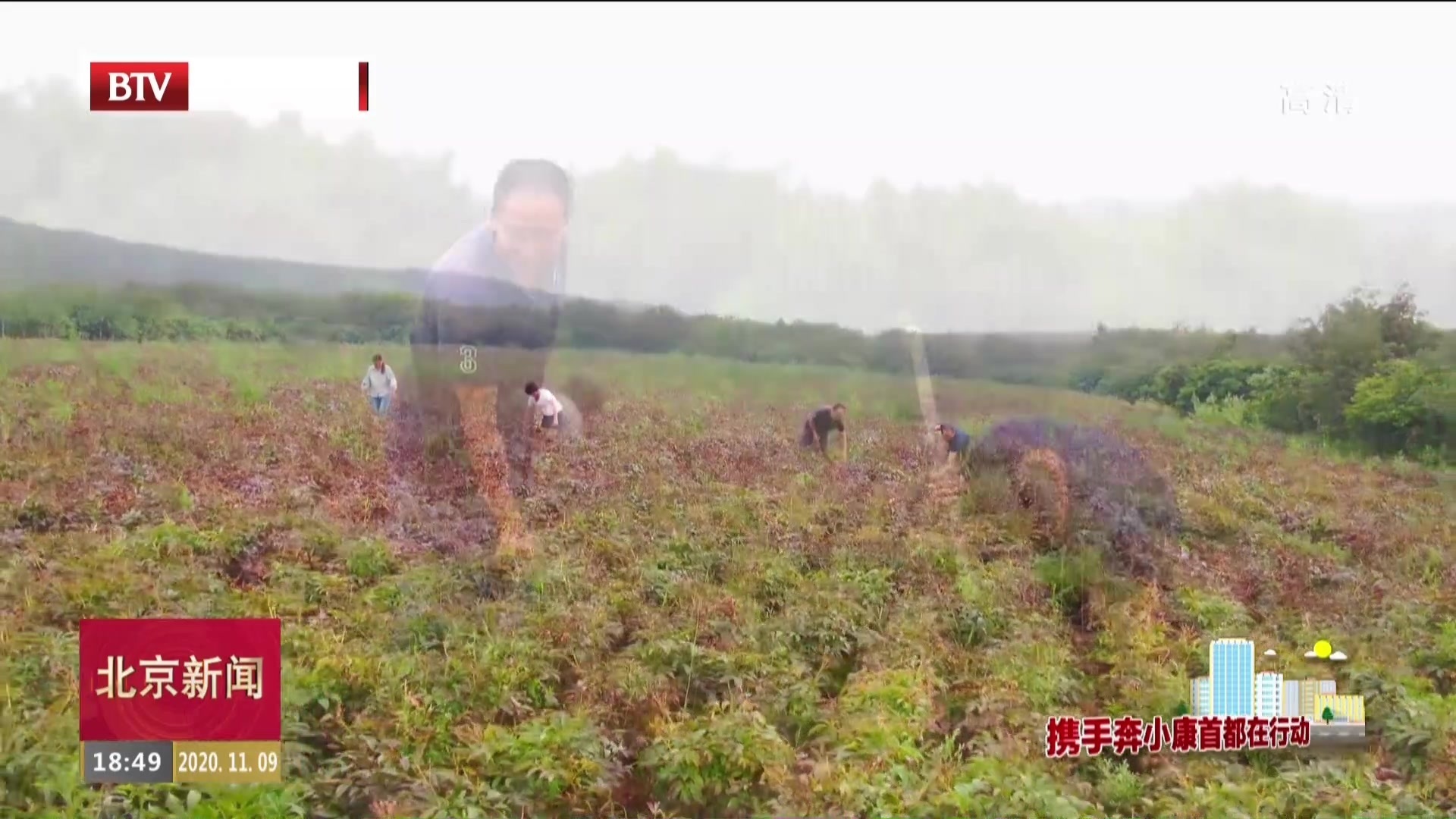 北京同仁堂助力内蒙古自治区兴安盟扎赉特旗新林镇产业扶贫