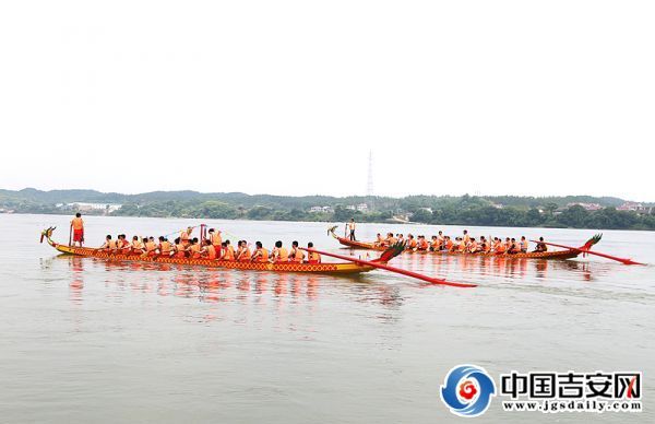 5月26日,端午将至,拥有百年历史的万安县端午龙舟大赛精彩上演