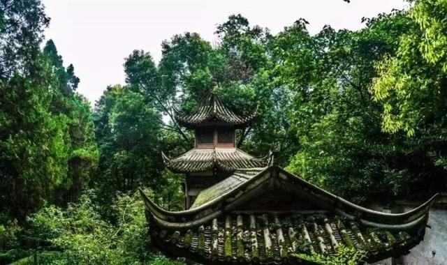 成都耍一天 | 半小时赏花、爬山游春湖!这份踏青