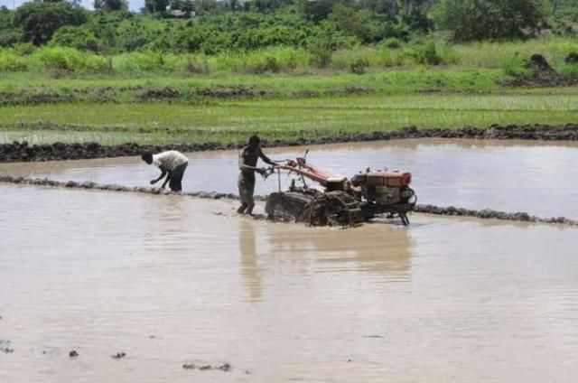 中国人在非洲种田,非洲人每天工作三小时,还要
