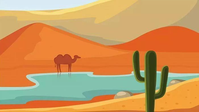 这几个关于非洲的问题,90%的人都回答不上来