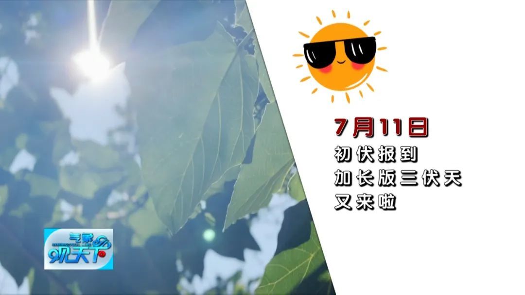 加强版三伏天来了，初伏防暑降温有妙招