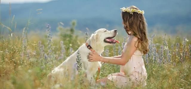 晚安心语情感短句:我喜欢你,无关风月