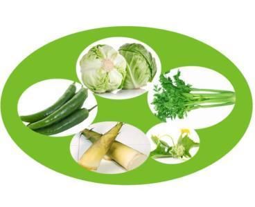 负能量食物越吃越瘦?别闹了