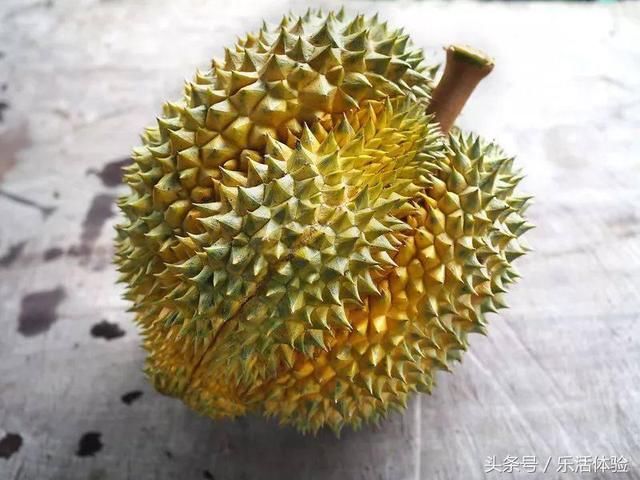 泰国榴莲旅游攻略适合入门级爱好者资深吃货