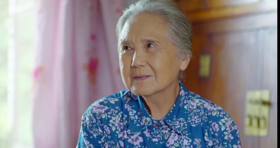 鲁园,年纪最大的飞天女主,奶奶专业户,如今9