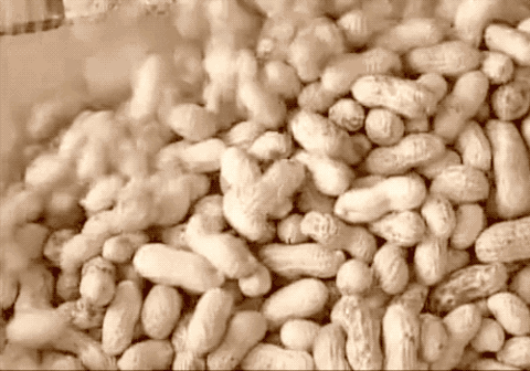 水煮花生含甲醛?实测多家烧烤店结果太可怕!