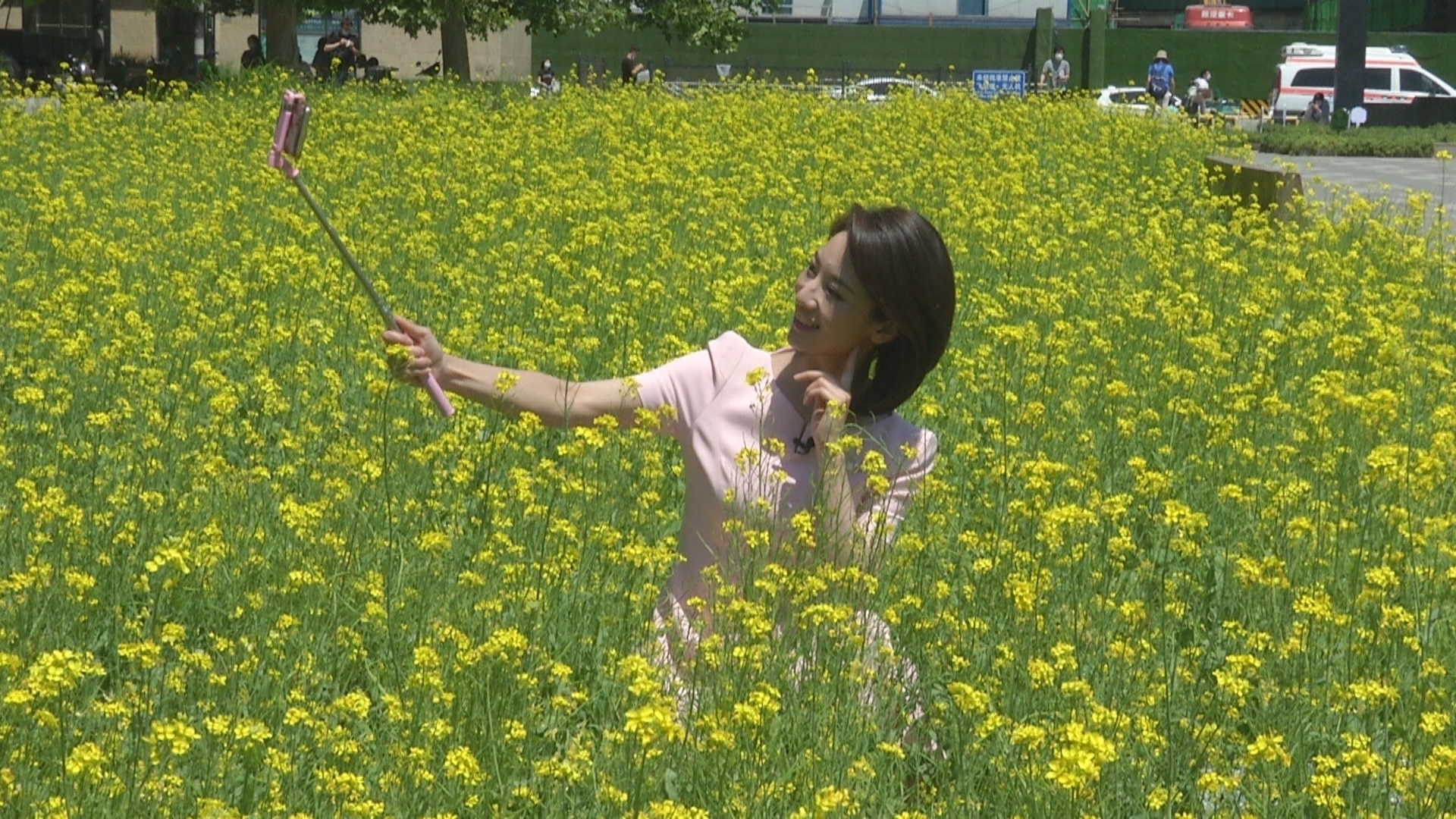 走进北京网红打卡地丨油菜开花满地黄 不出三环体验好风光 走进北京网红打卡地丨油菜开花满地黄 不出三环体验好风光