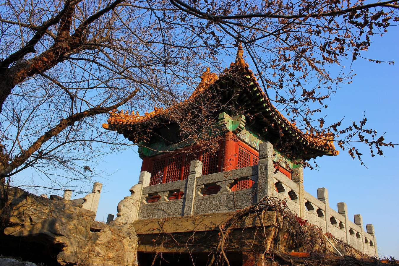 《秋夜登云龙山放鹤亭》