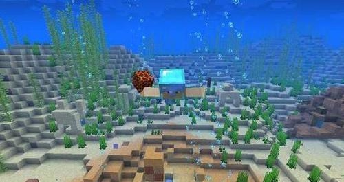 我的世界:中国服和国际服的海洋版有什么区别