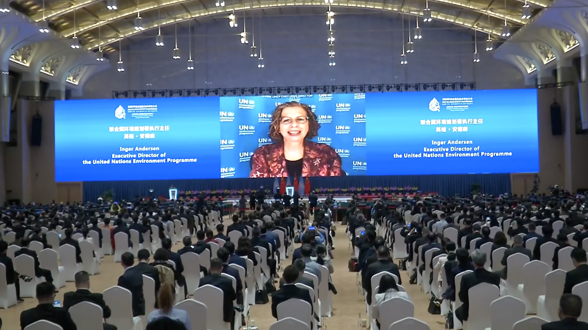 COP15来了!北京力争成为地方政府支持国家履约的典范 COP15来了!北京力争成为地方政府支持国家履约的典范