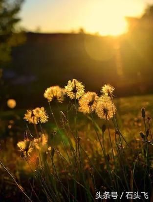 有一种感觉,是有你心安!有一个人,是相隔天涯也