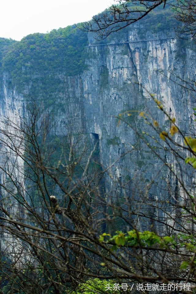 假期好去处,张家界天门山一日游最佳线路及攻