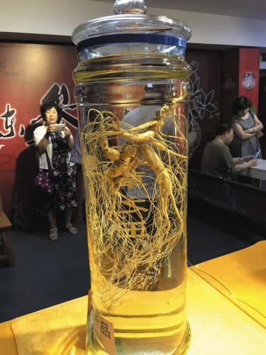 单棵价值超百万 136棵"参王"亮相"关东参王展"_北京时间