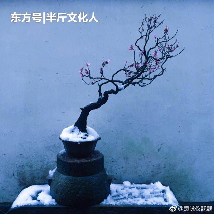47岁袁咏仪跑到杭州看雪,双眼皮感觉像刀割的