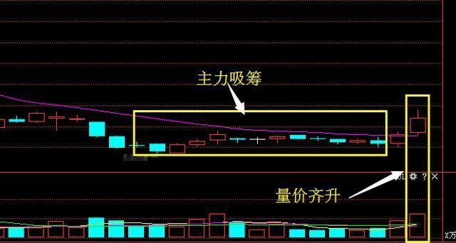 国产芯片第一龙头沉水4年,机构悄然增持56亿,