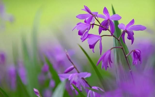 微信说说早安心情短语 朋友圈说到心坎上的句