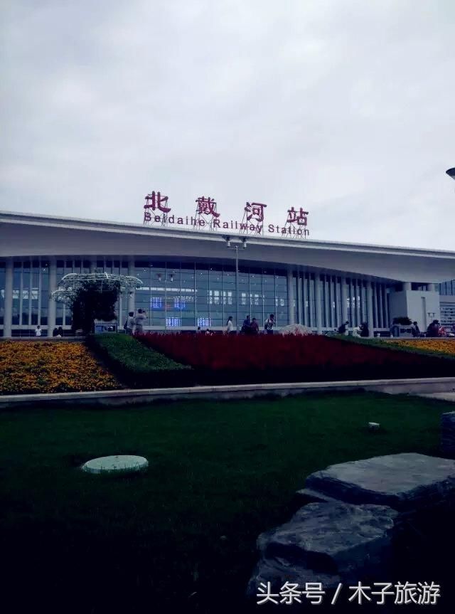 深情北戴河,观鸟的麦加