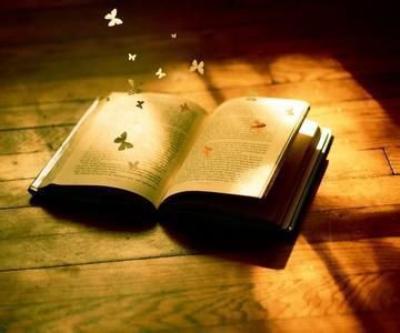 增值税一般纳税人报表问题讲解