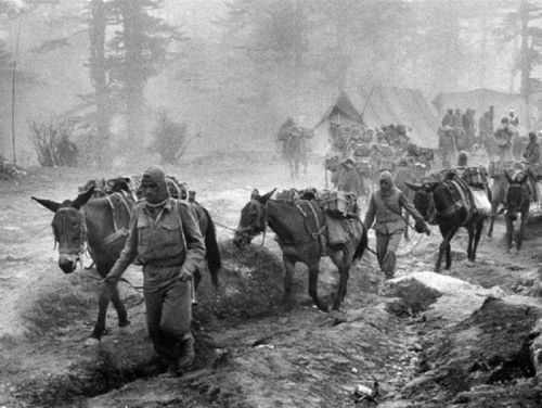 中印战争爆发前夕,被问到打输了怎么办,毛主席