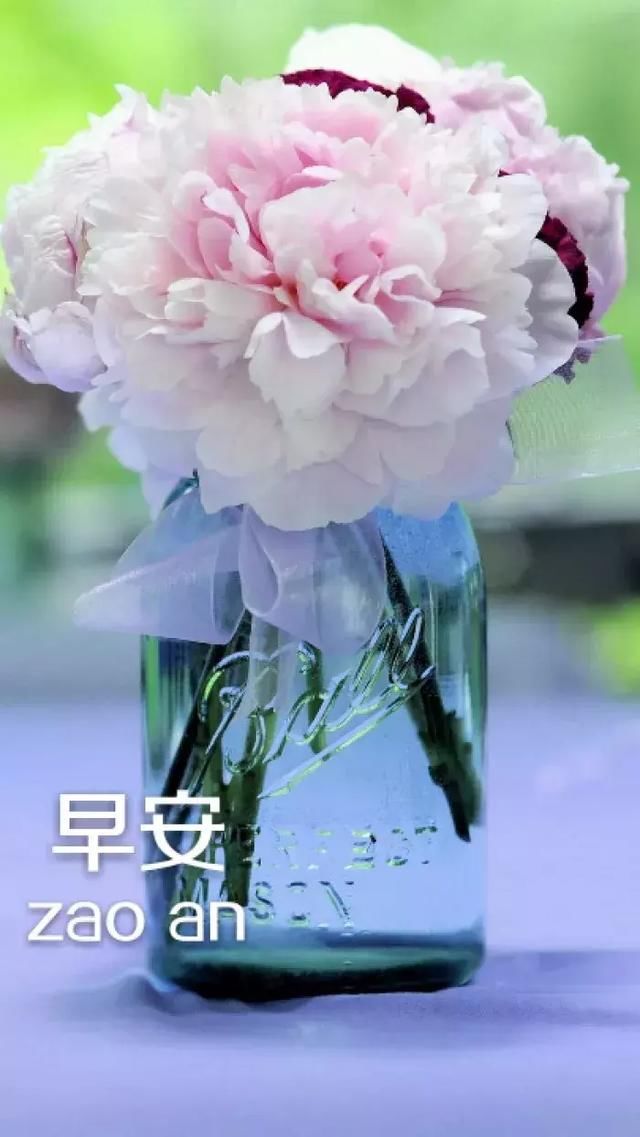 早安正能量的说说 微商早安正能量励志句子短