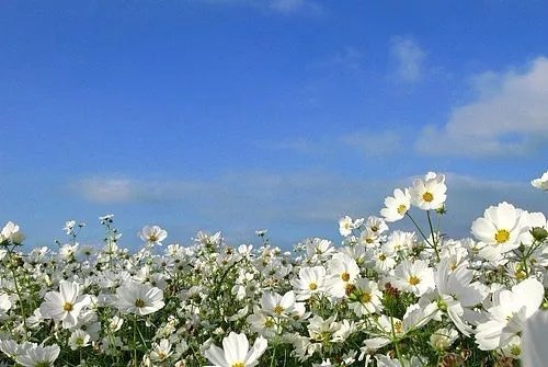 短而有感的好句,最新个性签名