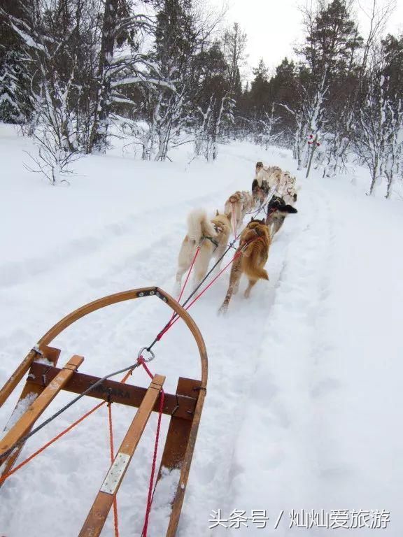 全球福利最好国家,美女遍地,有欧洲最美花园!但