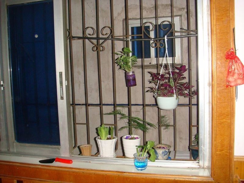 农村新生婴儿夜夜啼哭,浑身发抖,没想到竟是因