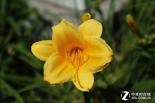 夏天来了 女生适合用什么样的相机拍照