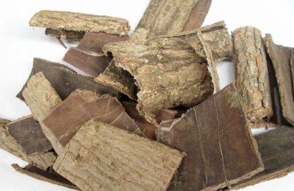 男人40岁还想生龙活虎,这东西拿来泡水喝,补肾