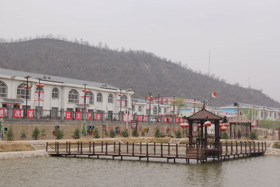 甘谷驿红薯成网红 全国网络媒体对它赞不绝口