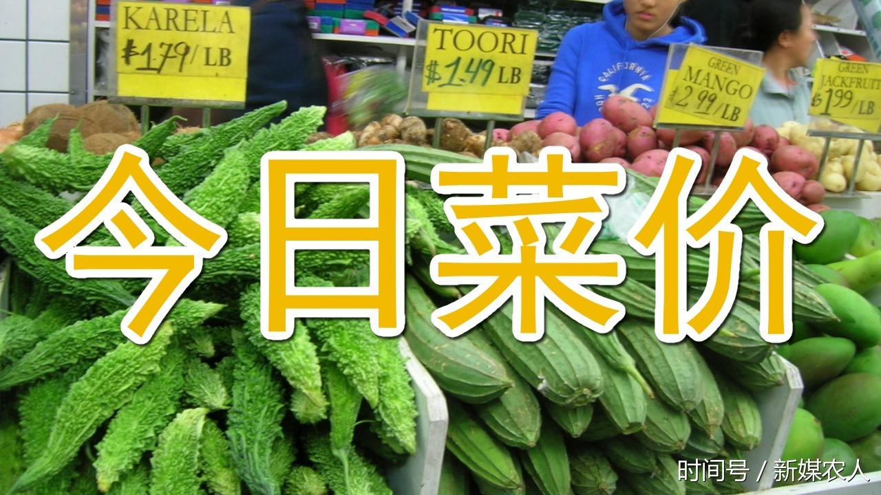 今日菜价,掌握蔬菜市场价格信息,附天津大沙河
