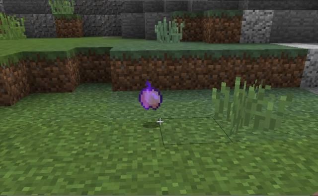 我的世界:最奢饰的五种食物,最后一种饿死都不