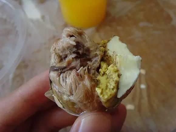 南京旺鸡蛋,要么不吃要么狂爱!