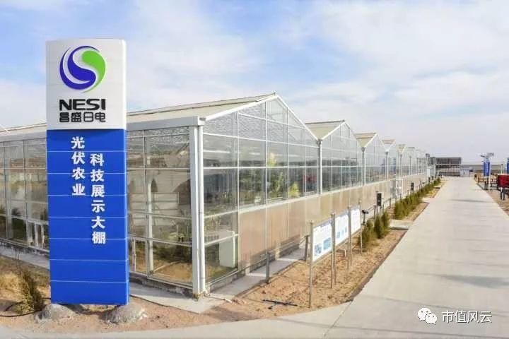 20元接盘美达股份跌到6元:自己买的壳,含着泪